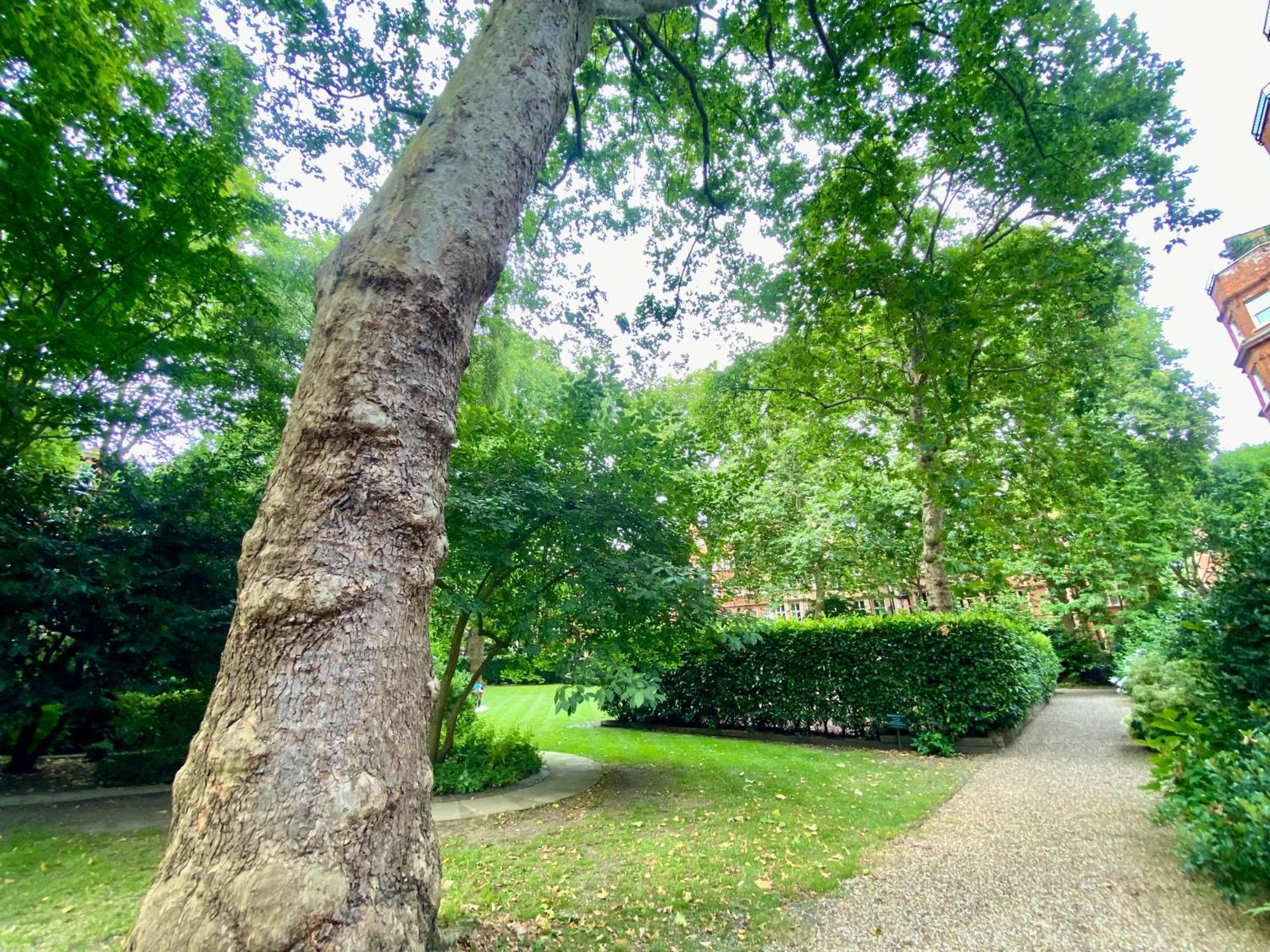 Spacious In Earls Court Appartamento *